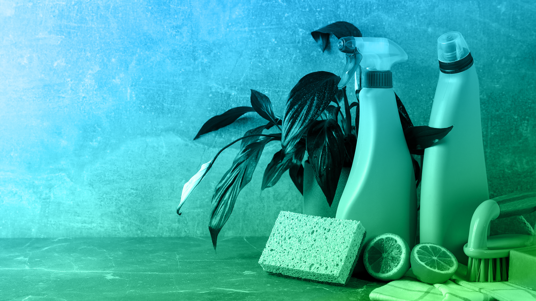 The Rise of Sustainable Cleaning: A Greener Tomorrow