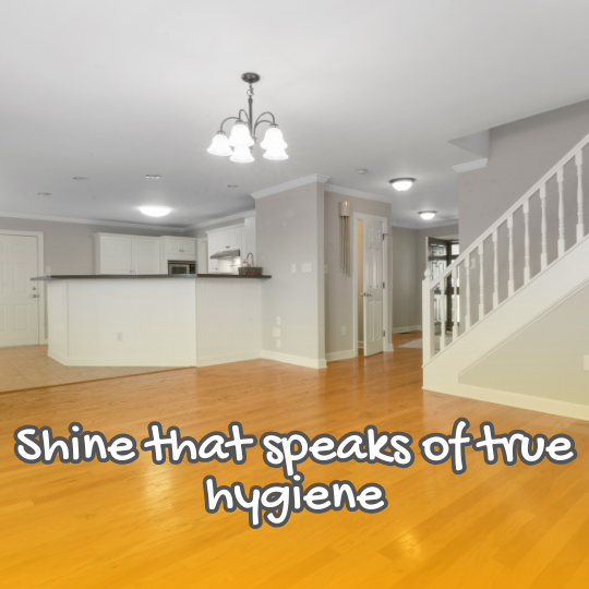 Floor & Surface Wellness