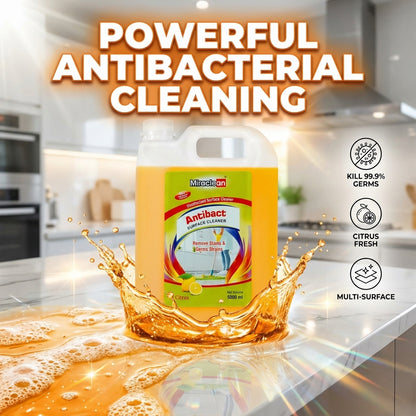 Antibacterial Surface Cleaner 5L X 4