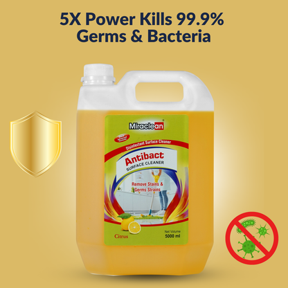 Anti Bact Surface Cleaner 5L