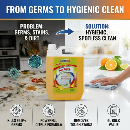 Antibacterial Surface Cleaner 5L X 4