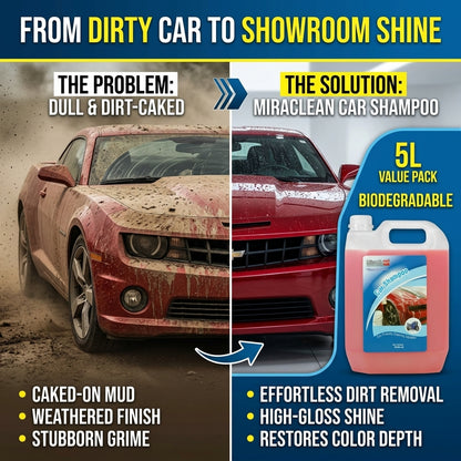 Car Shampoo 5L X 4