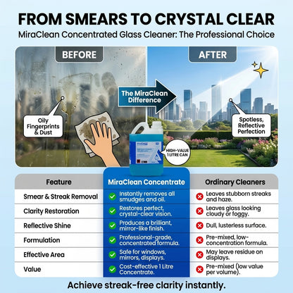 Glass Cleaner Concentrate 1L X 4