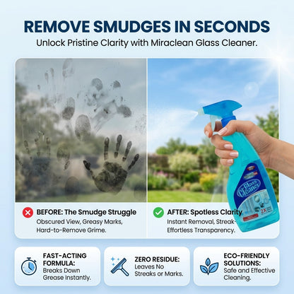 Glass Cleaner 500ml X 4