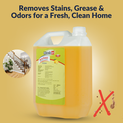Anti Bact Surface Cleaner 5L