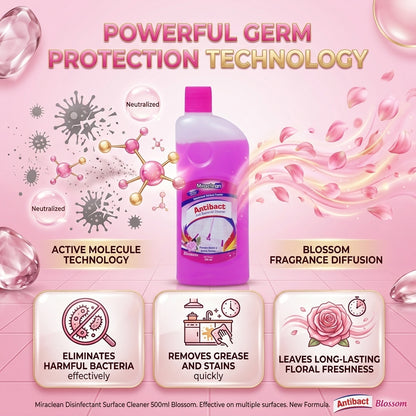 Antibacterial Cleaner 500ml X 4