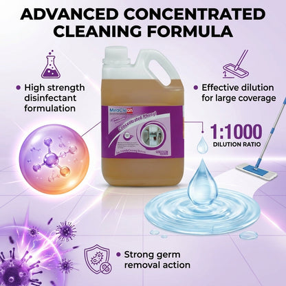 Concentrated Phenyle 1L X 4