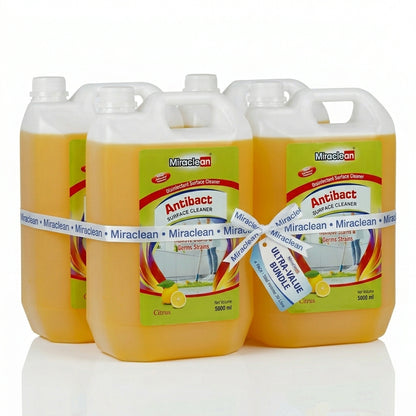 Antibacterial Surface Cleaner 5L X 4
